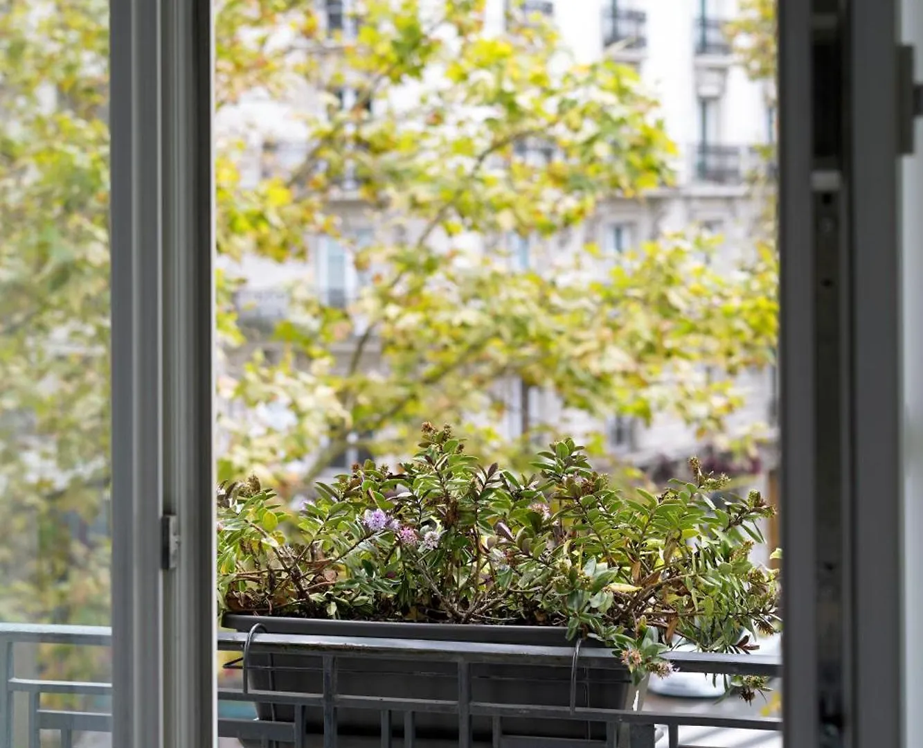 Hotel Western Le Montparnasse 3*
